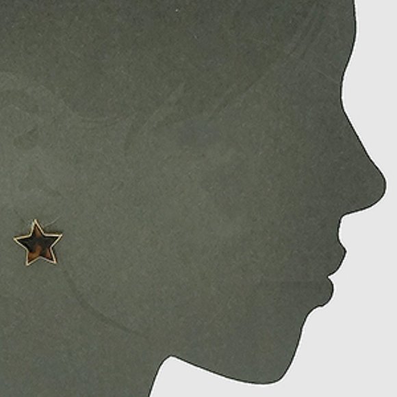 NWT *BOUTIQUE* TORTOISE  STAR STUD EARRINGS - Picture 2 of 4